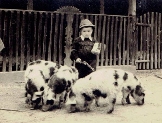 Franjo Dodlek u dobi od 5 godina, 1953.