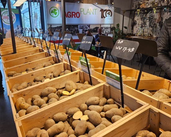 Dani otvorenih vrata Agroplant Holland B.V., 2024.